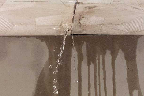 Professional Structural Drying technician working in Elkton, MI